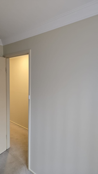 Painting services62863391773827112