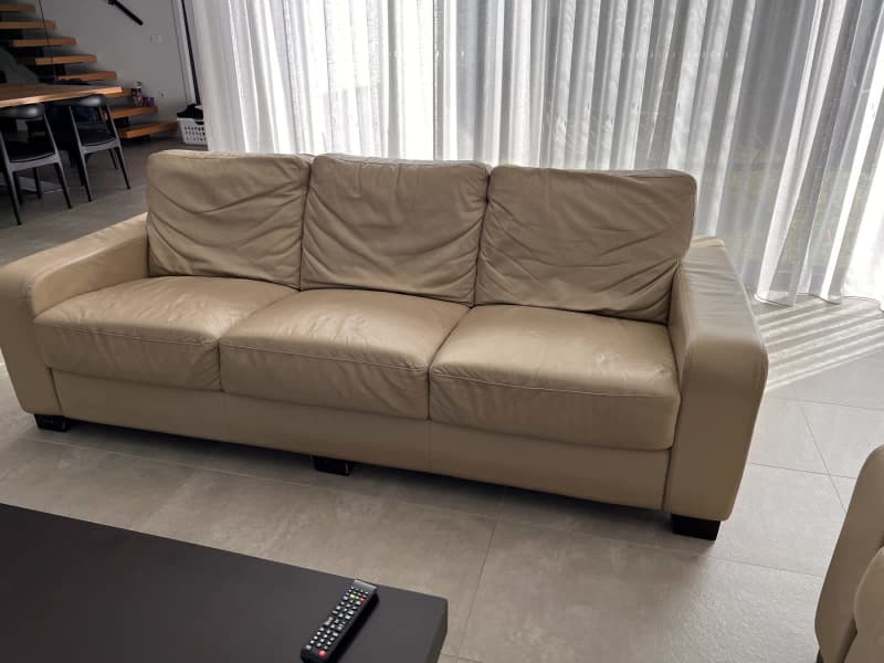 Tan Leather Sofa Gumtree Melbourne Baci Living Room