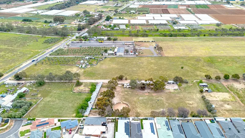 A PRIME LAND & RARE FIND IN DIREK! 2.5 Acres Approx63006359397378119