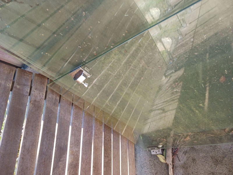 free glass pool fencing and gate 62863417324546112