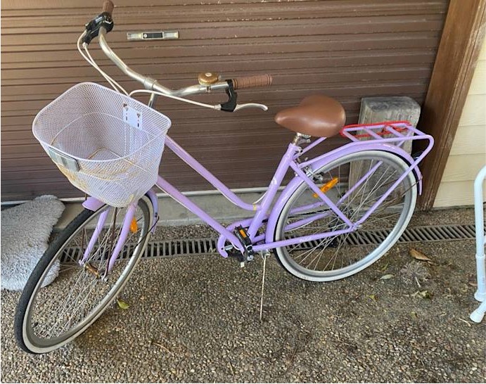 Basket Lilac Cruiser Bike Buy Schwinn Ladies Legacy 24 Cruiser