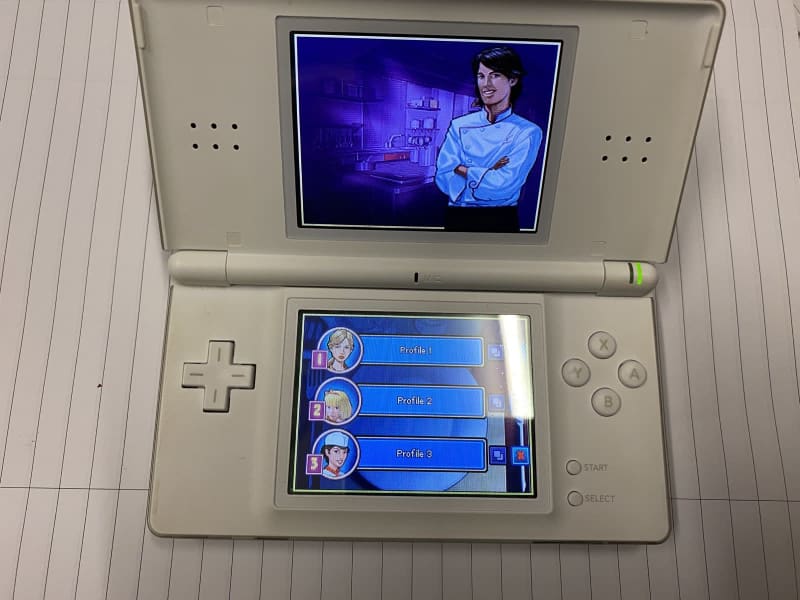 nintendo ds lite gumtree