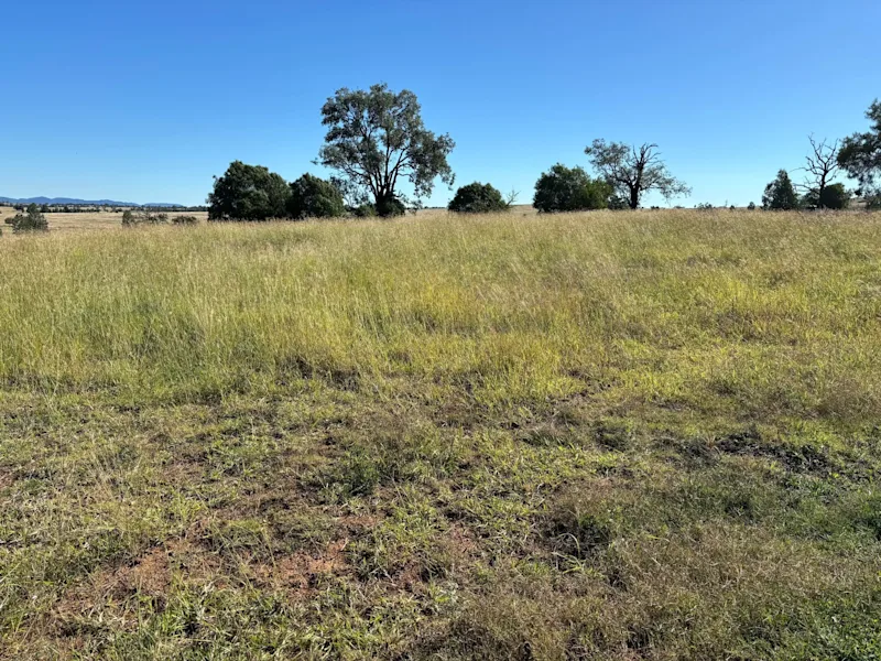 Prime 9-Acre Vacant Land on Bingaras Fringe - Build Your Dream Escape63006840998402111