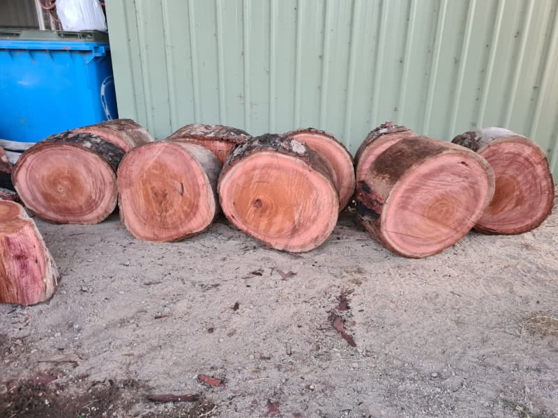 Jarrah Chopping blocks for sale!!63005149194498114