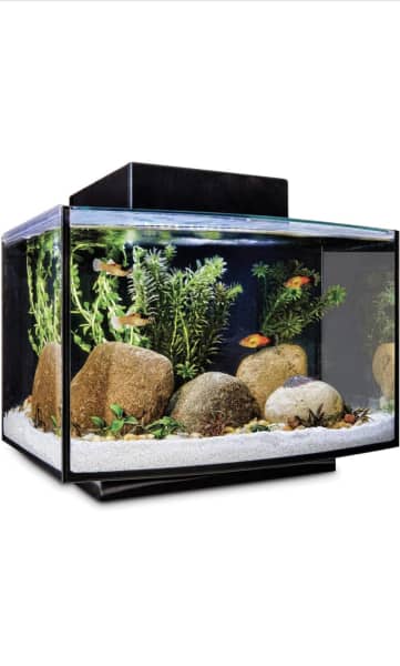 Imagitarium Small Aquarium Thermometer