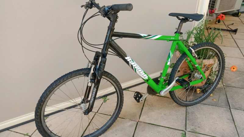 mens large mountain bike