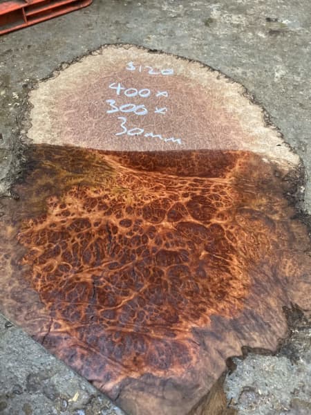 Red & brown mallee burl slices slabs platters boards63439076052225112