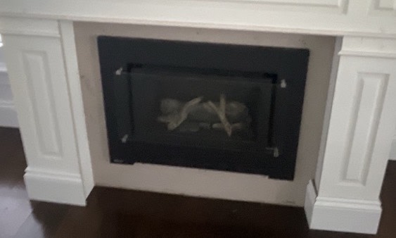 Regency Greenfire GFi300L gas inbuilt fire place63018174329475112