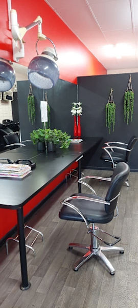 Salon for quick sale must sell.63007091721985111
