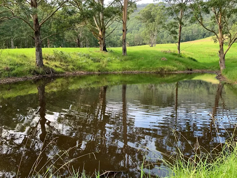 36-Acre Lifestyle Block - Golf Course-Like Pastures & Valley Views62885362182018111
