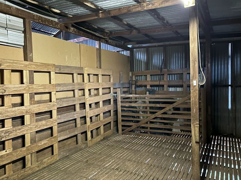 300 Acres ,Hunting and Lifestyle Land for sale62918283948802114