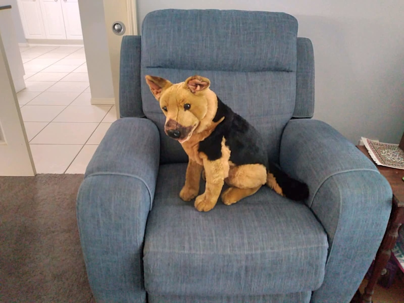 animal alley german shepherd