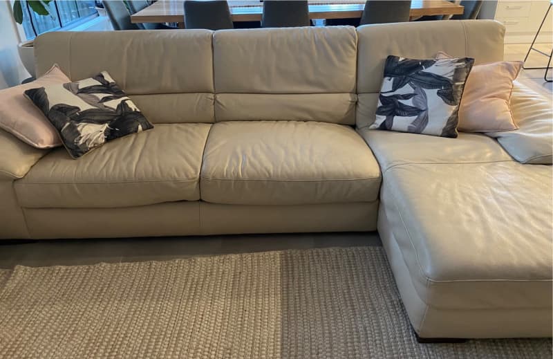 Freedom Leather Couch Sofa Bed Matttroy