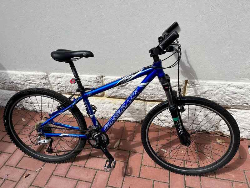 silverback alpine mountain bike price