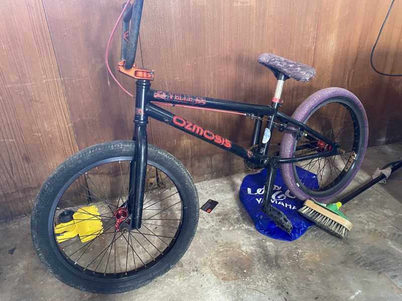 bmx bikes gumtree