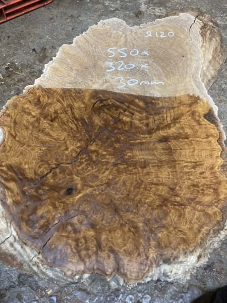 Red & brown mallee burl slices slabs platters boards63439076052225113