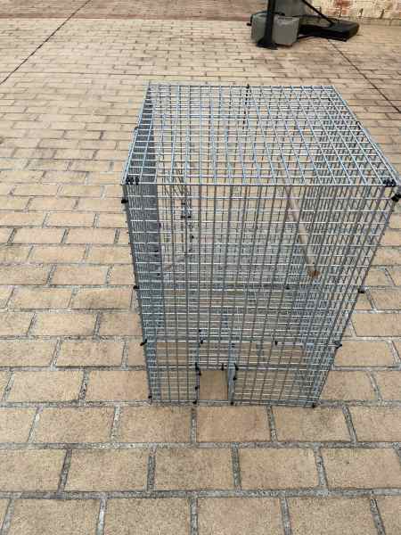 Traps mark MYNA BIRD63004363128321114