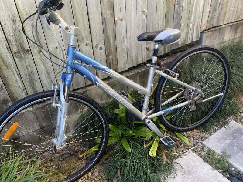 Mountain bike Giant suit woman or teenager Women s Bicycles in Camp Hill QLD Gumtree Australia