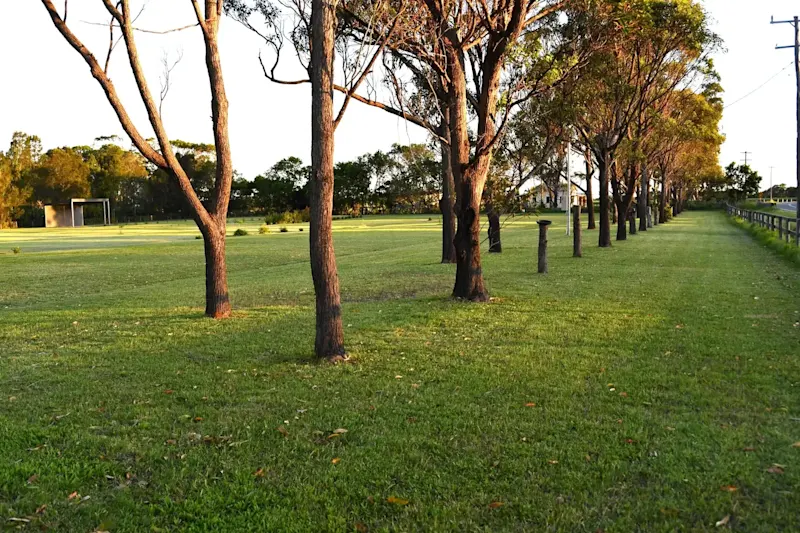Lifestyle plus ....  3 Acres of Opportunity !62885360192769111