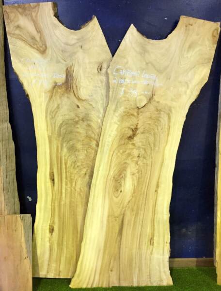 Timber Slab Sale - Bar Tops63007238120193113