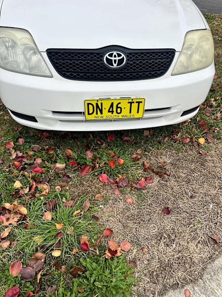 Toyota Corolla 62938582821122111