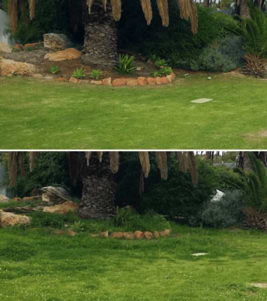 Gardening and Horticulture Service62863396595331114