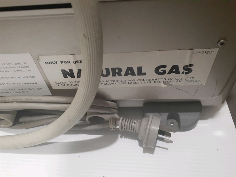 Rinnai convector natural gas heater63021730919681112