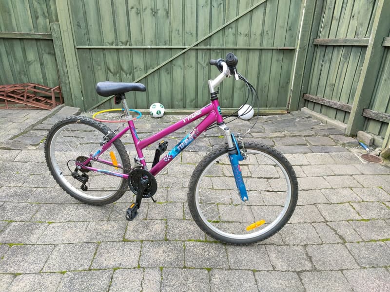 emmelle ladies mountain bike