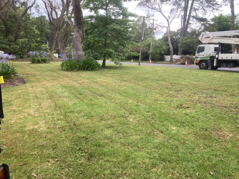 Mountains mowing & maintenance62863392462722114