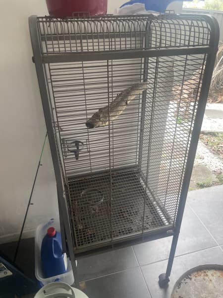 snake proof bird cage