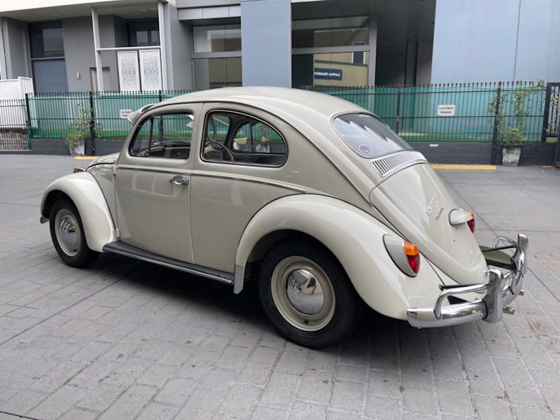 1964 VOLKSWAGEN BEETLE62882768508162114