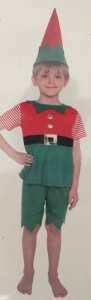 NEW Kids ELF COSTUME Set Christmas 6-8 Shirt Short Hat Unisex Girl Boy