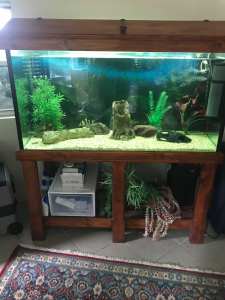 Fish Tank and accessories