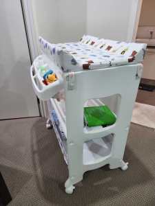 Baby bathtub/changing table and storage