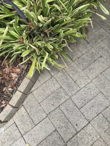 FREE Garden Pavers (stacked pile)