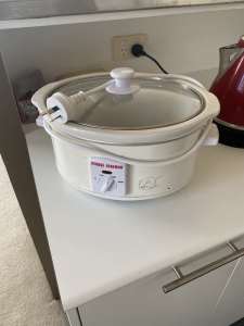Slow cooker George Foreman