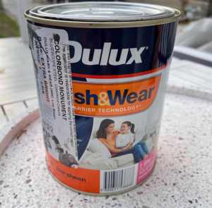 Dulux Wash and Wear paint