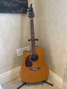 ashton d25nt acoustic guitar