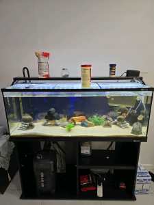 4ft Aqua one Horizon 180 Fish Tank full setup