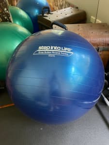 gym ball / fit ball / swiss ball 65cm
