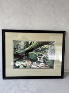 Megalong Valley NSW framed picture