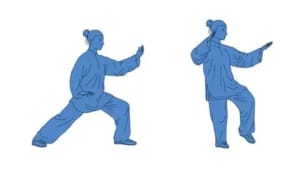 Tai Chi and Qiqong exercise in Deepwater Park in Milperra (Free)