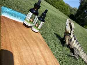 Pet oil approved by the apvma