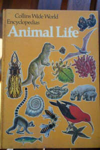 Animal life - collins wide world encyclopedias