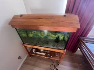Aquarium with stand and accessories