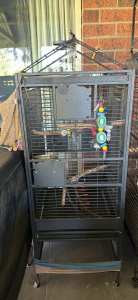 Bird cage suit parrots