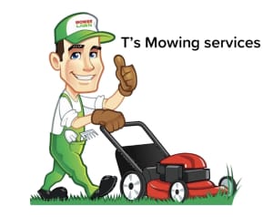 Mowing services/ grass cutting services 