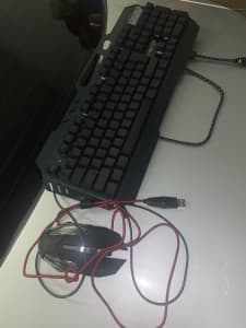 Keyboard and Mouse (Plug in)
