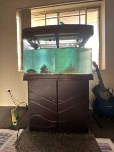 Large Fish Tank with Accessories and Fish