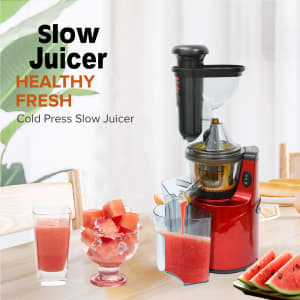 Slow Juicer Whole Fruit Cold Press Extractor Masticating Squeezer Mech